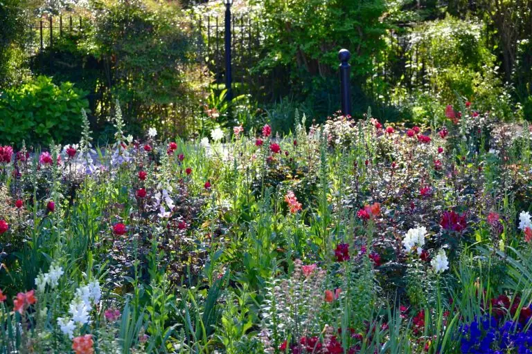 jardin écologique vivant et généreux